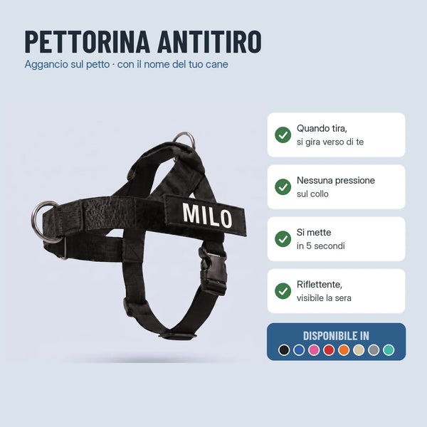 Pettorina antitiro con nome
